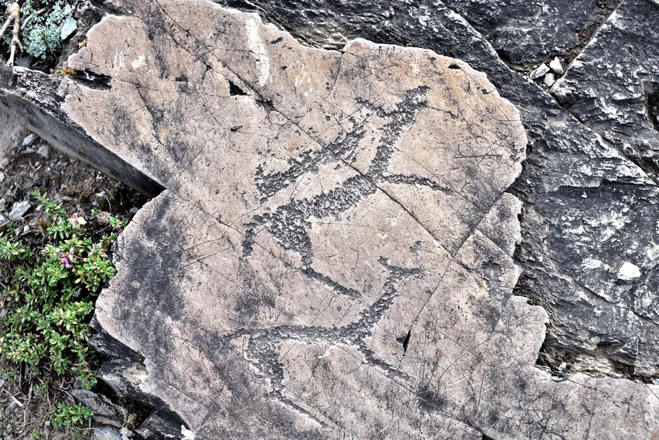 Kalbak-Tash: images on stone