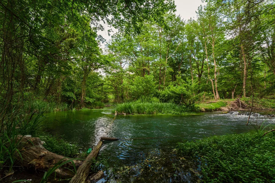 Samur Forest: another side of Dagestan