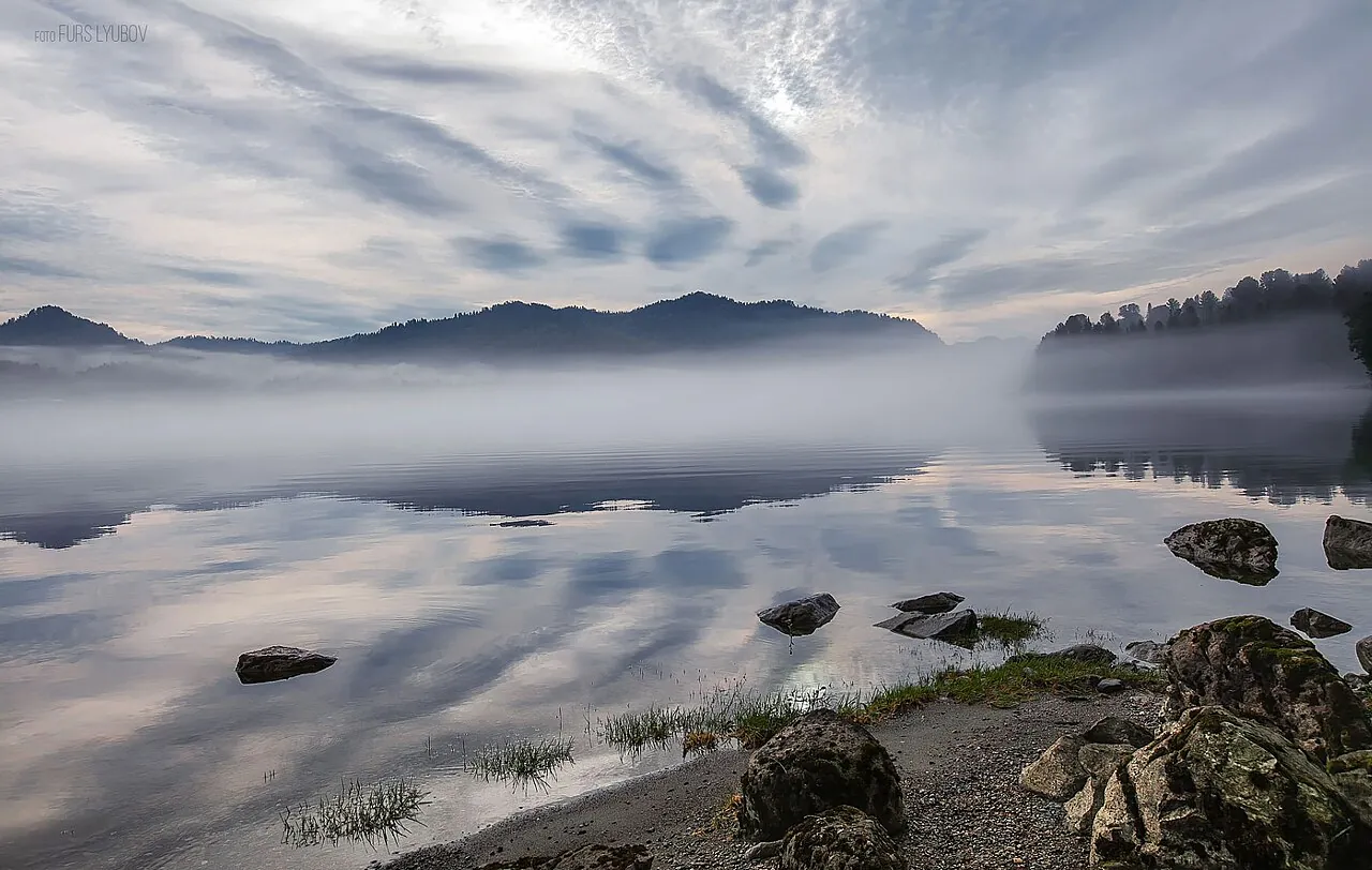 Телецкое озеро: вода и тайга