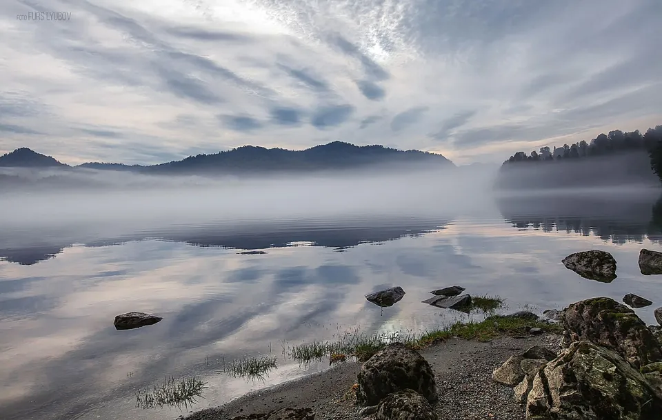 Lake Teletskoye: water and taiga