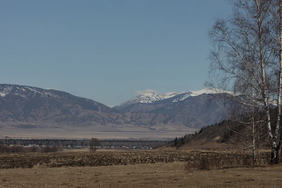 Verkhny Uymon: the valley’s culture